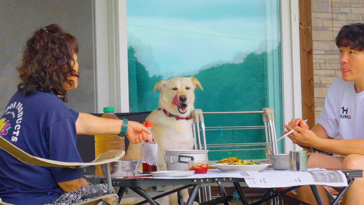 Лучший день моей собаки на ферме бабушки 🌾🐶 Расслабляющая загородная жизнь