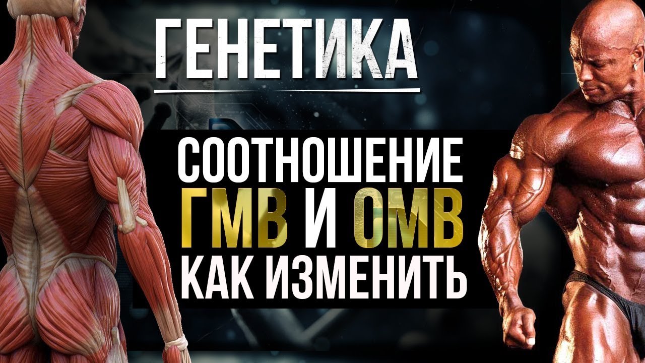 Как превратить гликолитические в окислительные мышечные волокна и наоборот?