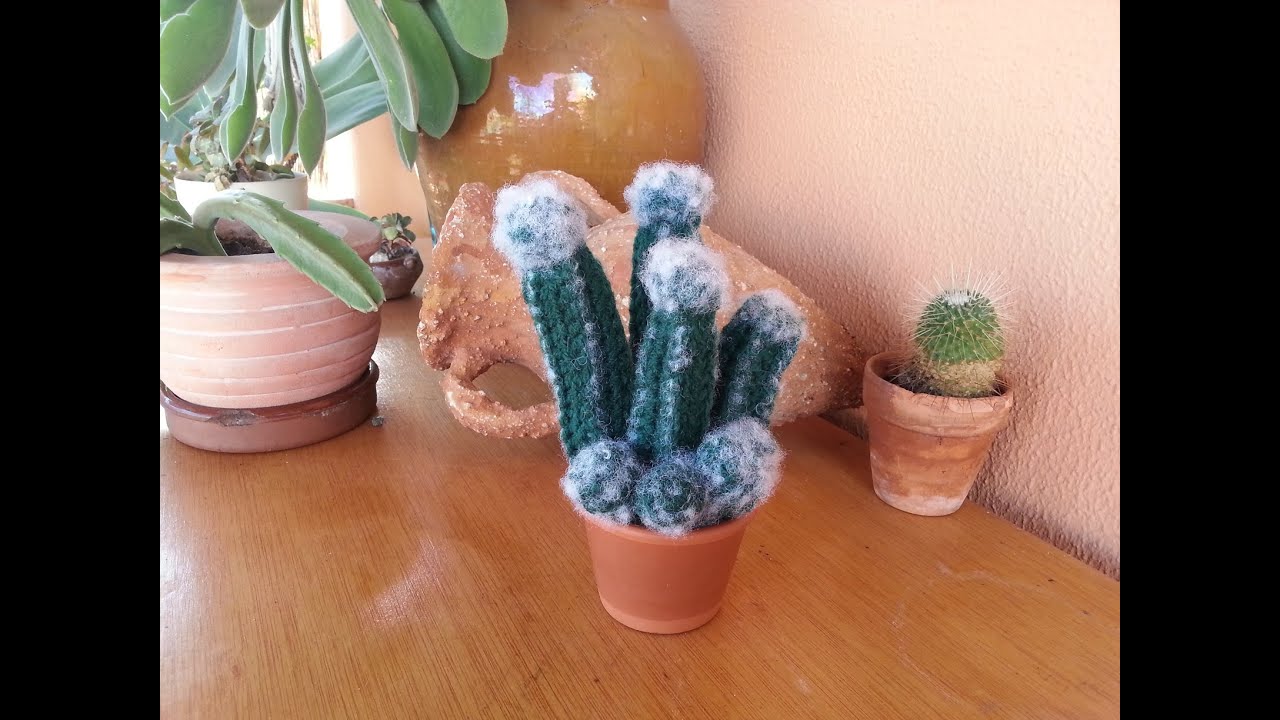 Tutorial de crochet/ganchillo,cactus peludito.