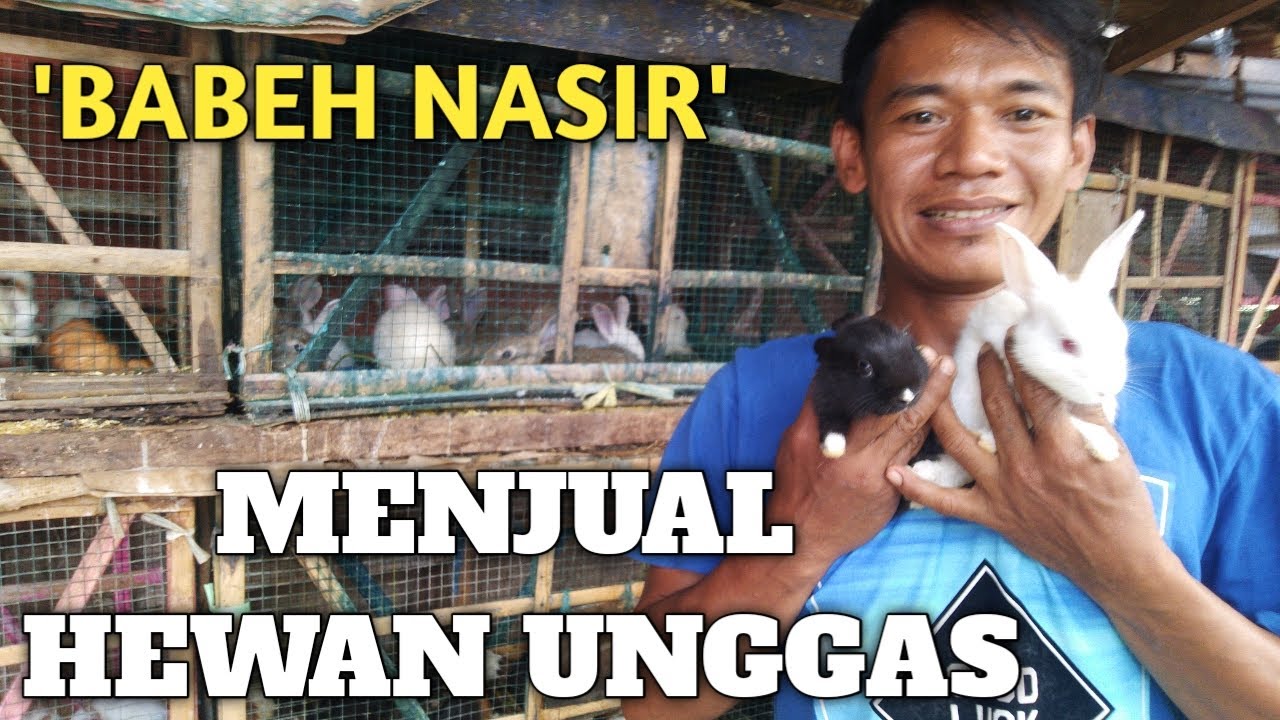 HEWAN UNGGAS DI TEMPAT 'BABEH NASIR'