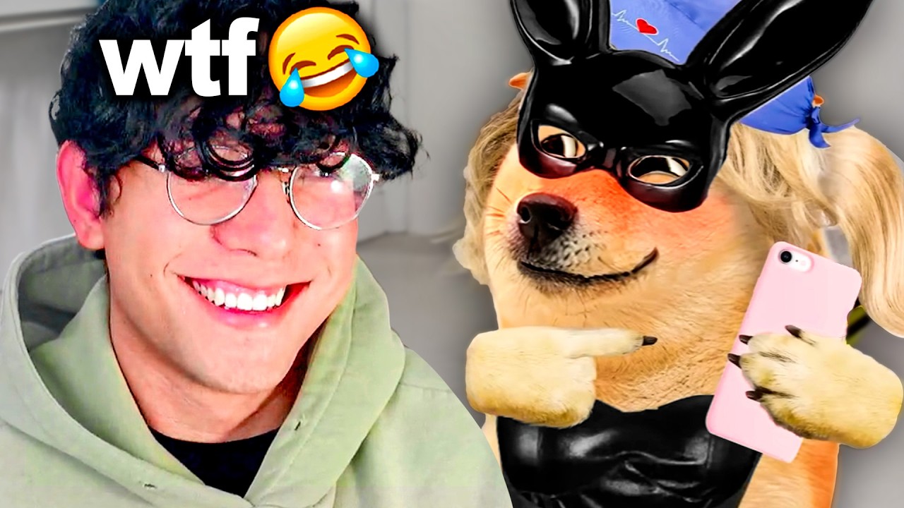 QUE PERRO HILO SE PUSO MUY RARO 😳📸