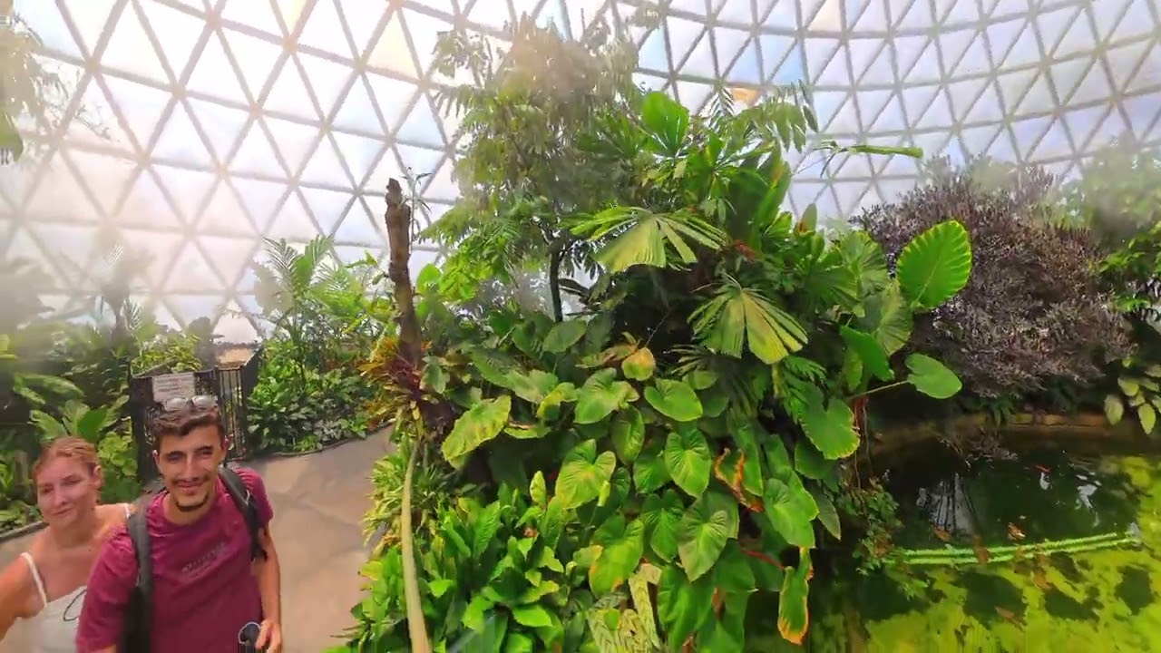 botanical garden brisbane