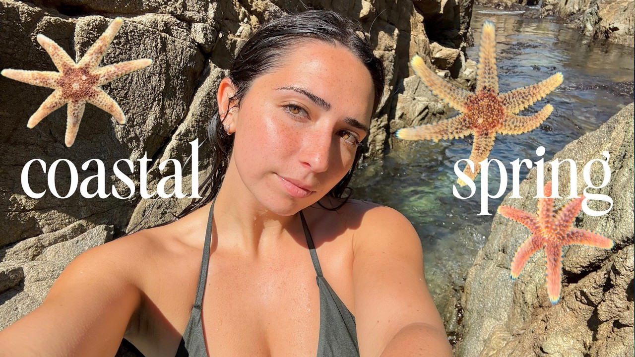 Coastal Spring: Sea Stars, Orcas, and Snails