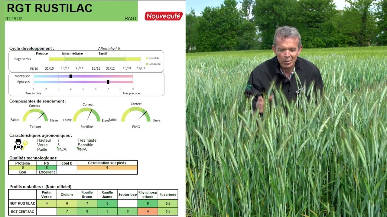 2024 05 23 I Présentation variétés céréales triticale rustilac