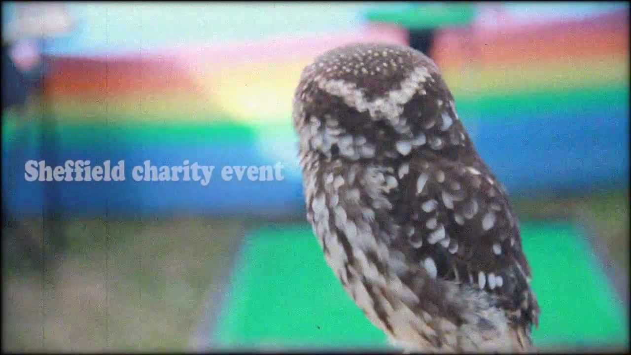 Barnardo's & Mencap Sheffield Charity event at Three Merry Lads