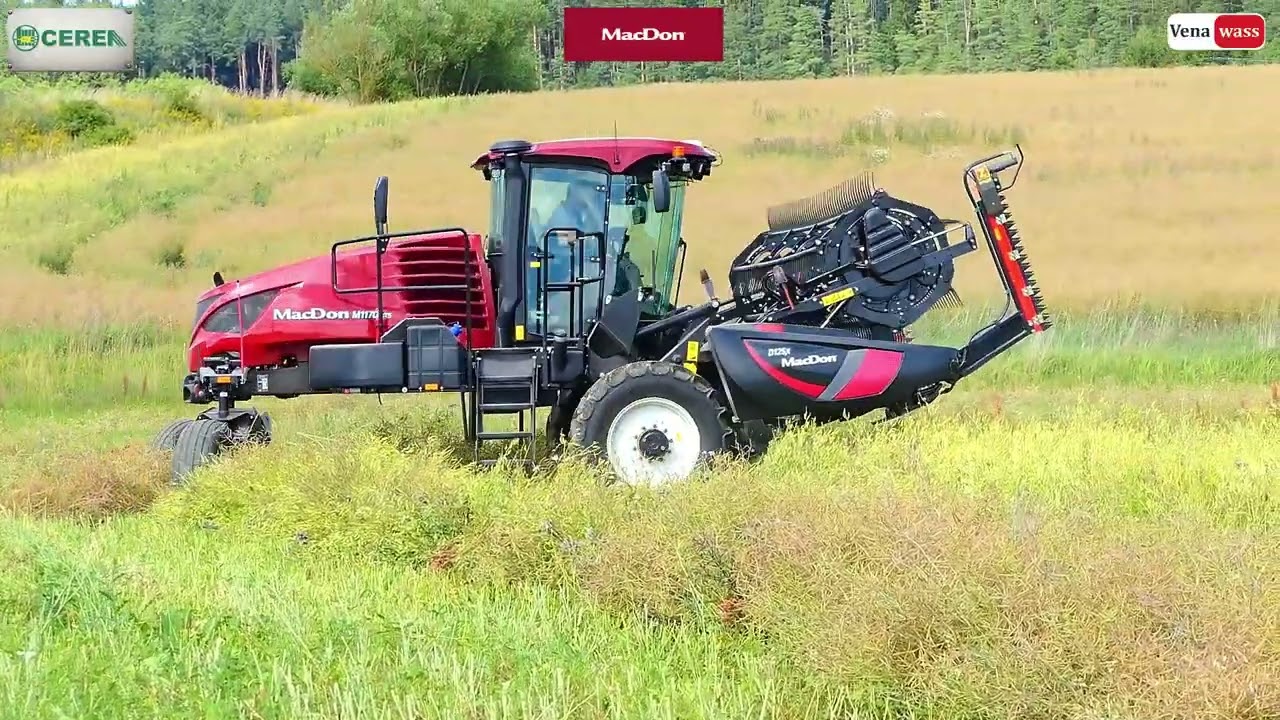 MacDon M1170 NT5 Windrower + D125 X  Dvoufázová sklizeň řepky. Bory Vysočina Czech Republic AGRI CS