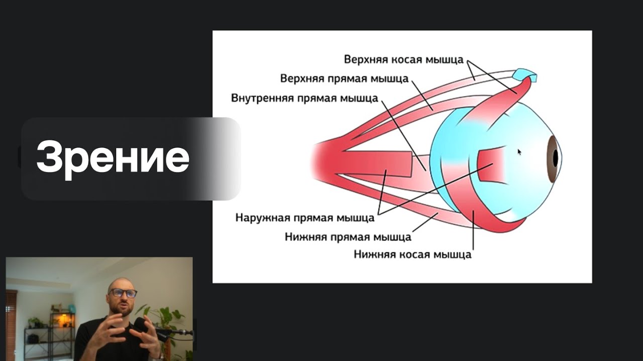 Зачем заботится о зрение и при чем тут Карл Юнг