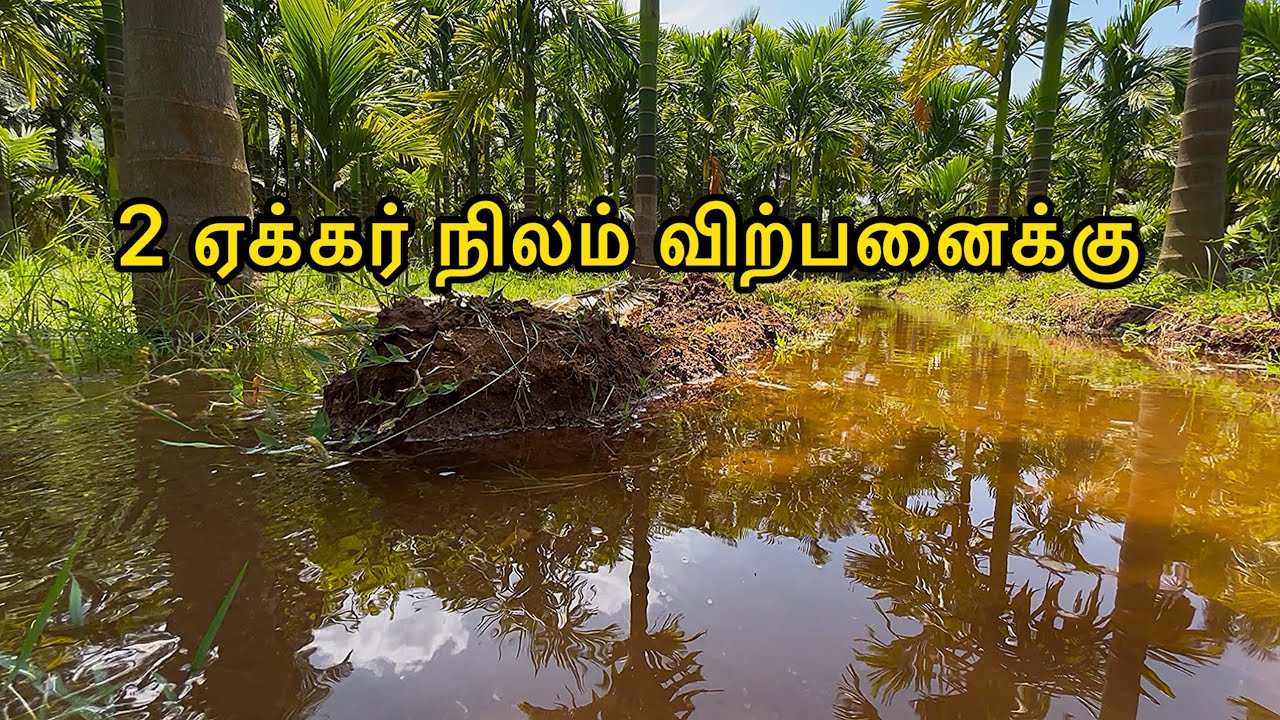 88076 27783 | 2 ஏக்கர் விவசாய நிலம் விற்பனைக்கு | பாக்கு மரங்கள்,தென்னை மரங்கள்,நல்ல கிணறு, இலவச EB.
