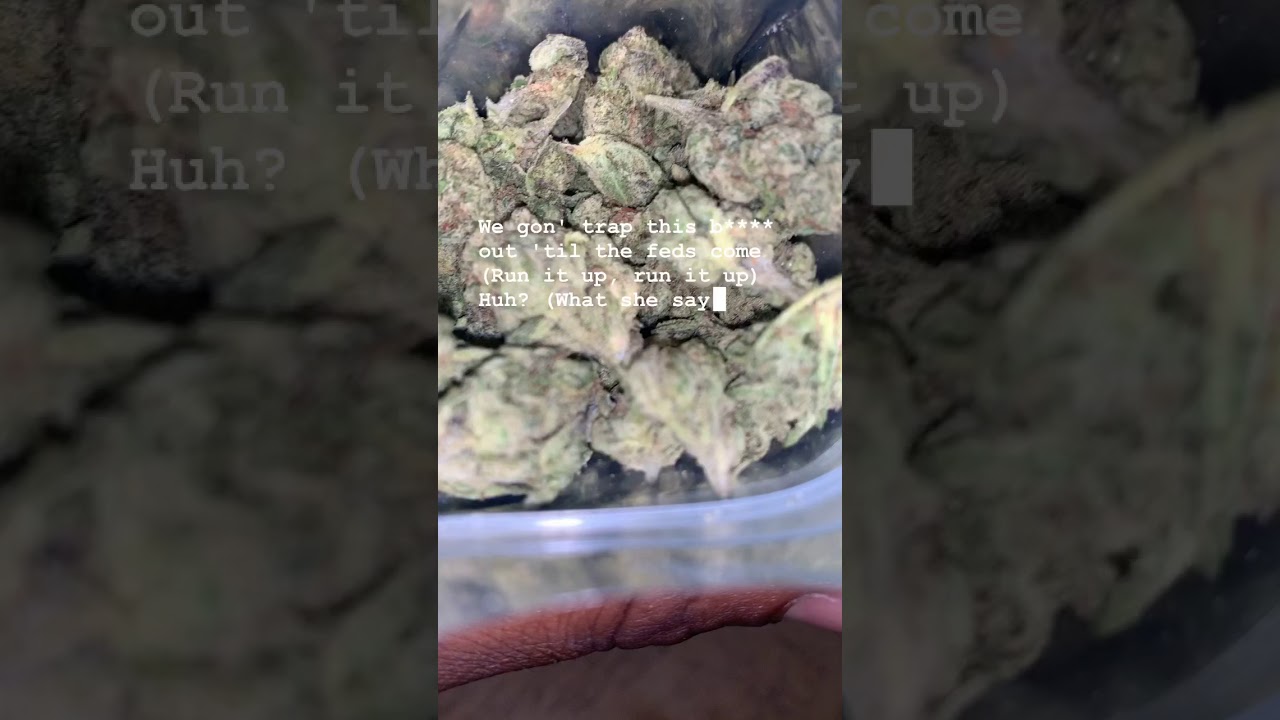 Apple runtz strain review 🔥