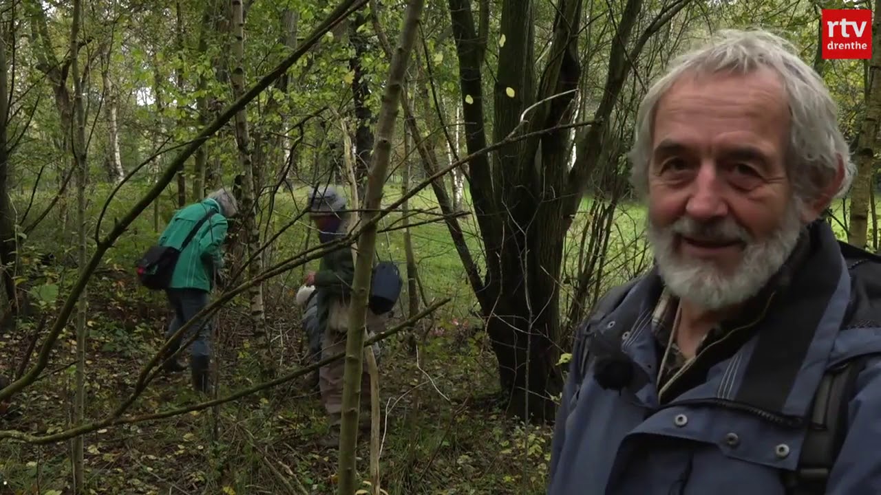 Kort en hevig seizoen vol paddenstoelen | Natuurnieuws