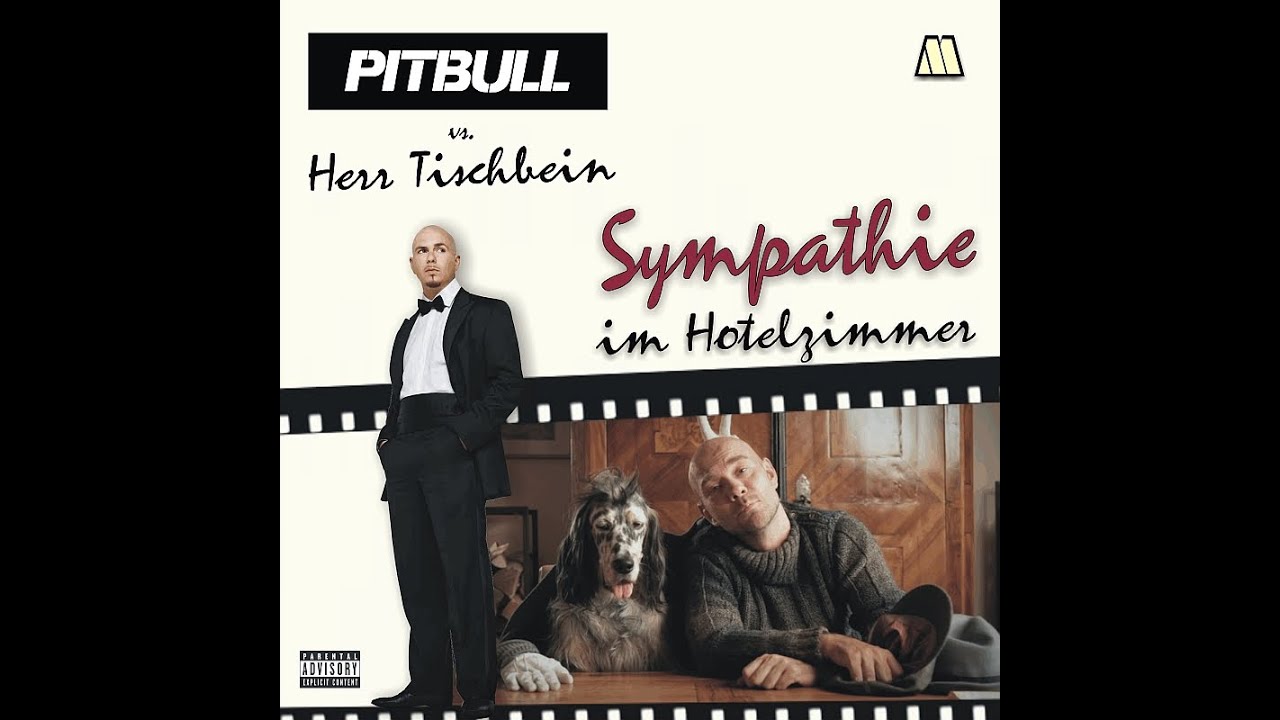 MashMike - Sympathie im Hotelzimmer (Herr Tischbein vs. Pitbull)