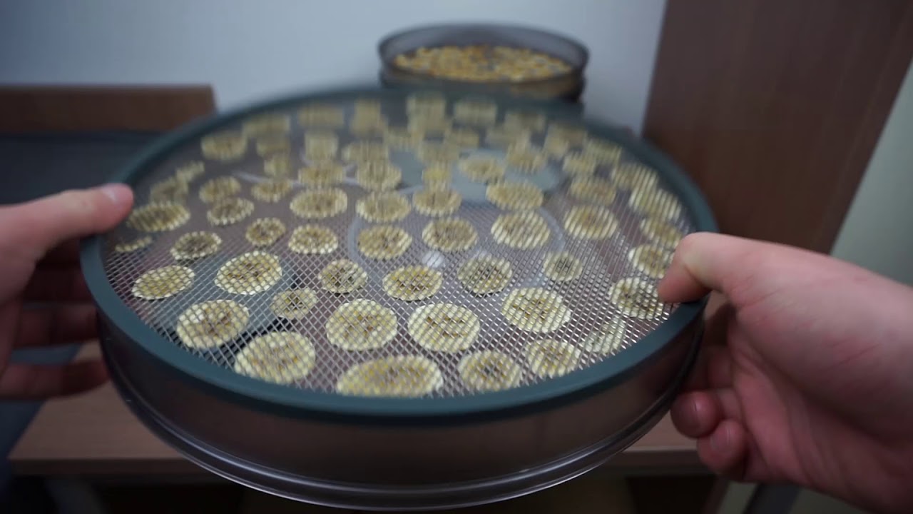 Bananenchips selber machen