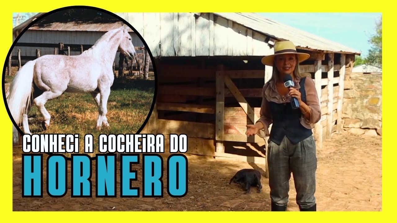 Veja como vivia La Invernada HORNERO, o principal garanhão da raça crioula