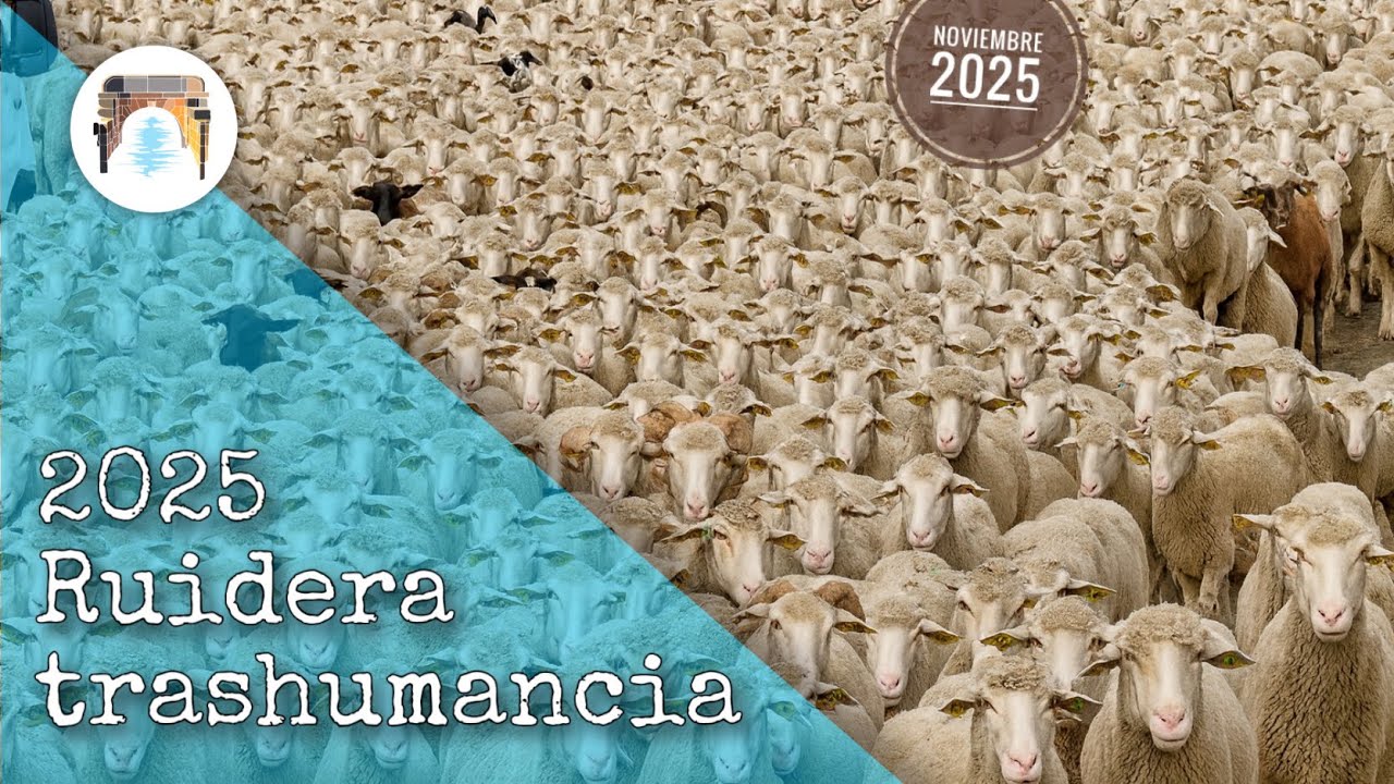 Trashumancia 2025