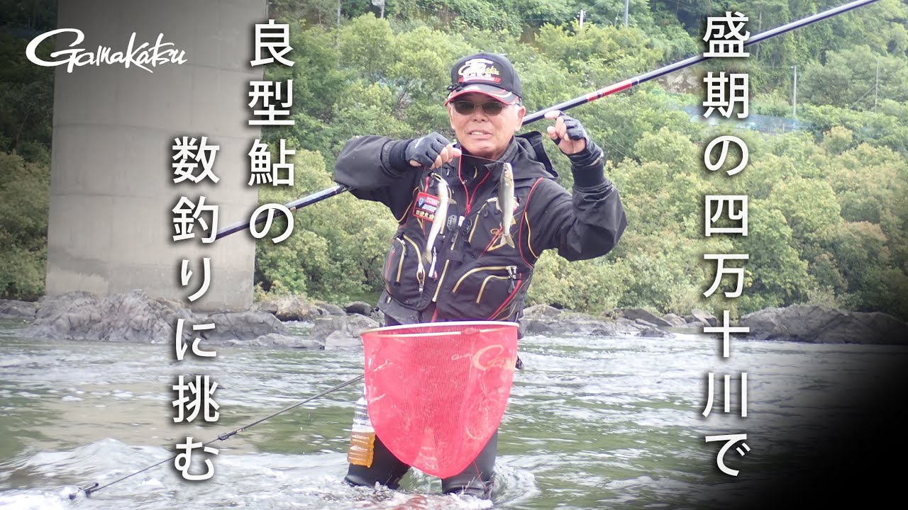 盛期の四万十川で良型鮎の数釣りに挑む【友釣り】【G WORLD #34】