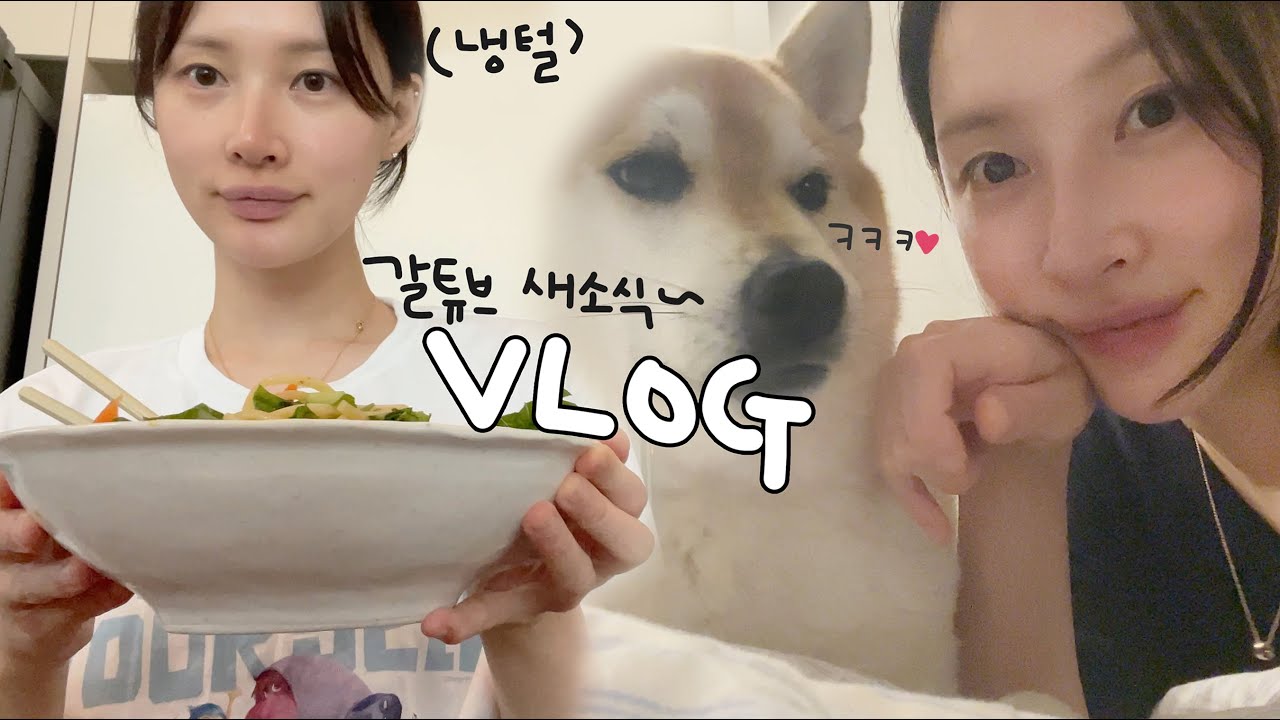 [vlog]냉털과 새로운 소식🕊(열무비빔밥/삼첩분식 바질크림떡볶이/닭껍질튀김🤎/짜파구리/불닭소스 중독자/한 대접 샐러드 파스타/송파구 맛집/숙성회 파스타/시바견 택이)