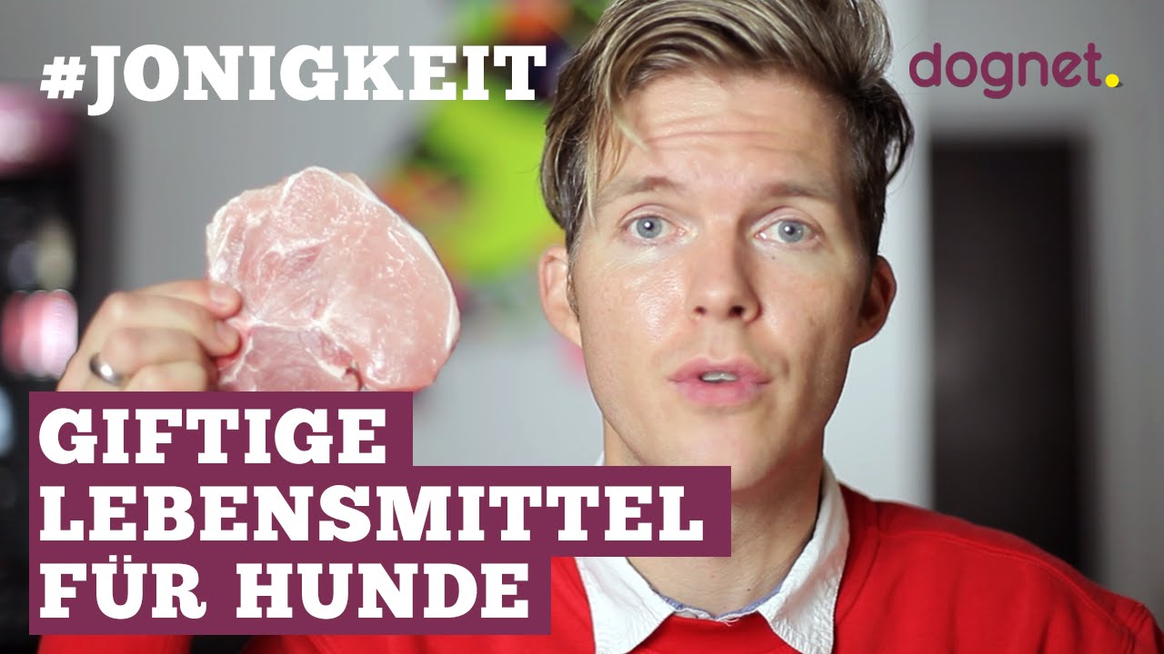 Giftige Lebensmittel für Hunde - #Jonigkeit 01