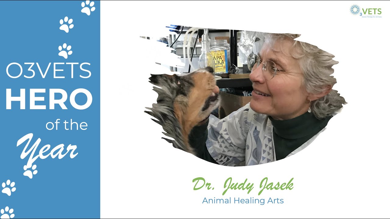O3Vets 2024 Hero of the Year - Dr. Judy Jasek