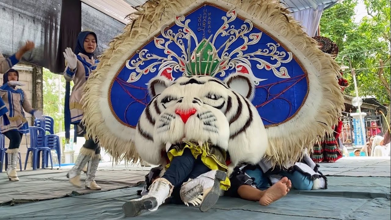 Ciwi Mayoret Dicaplok Barongan Besar JMP di Ngroto Gubug Grobogan