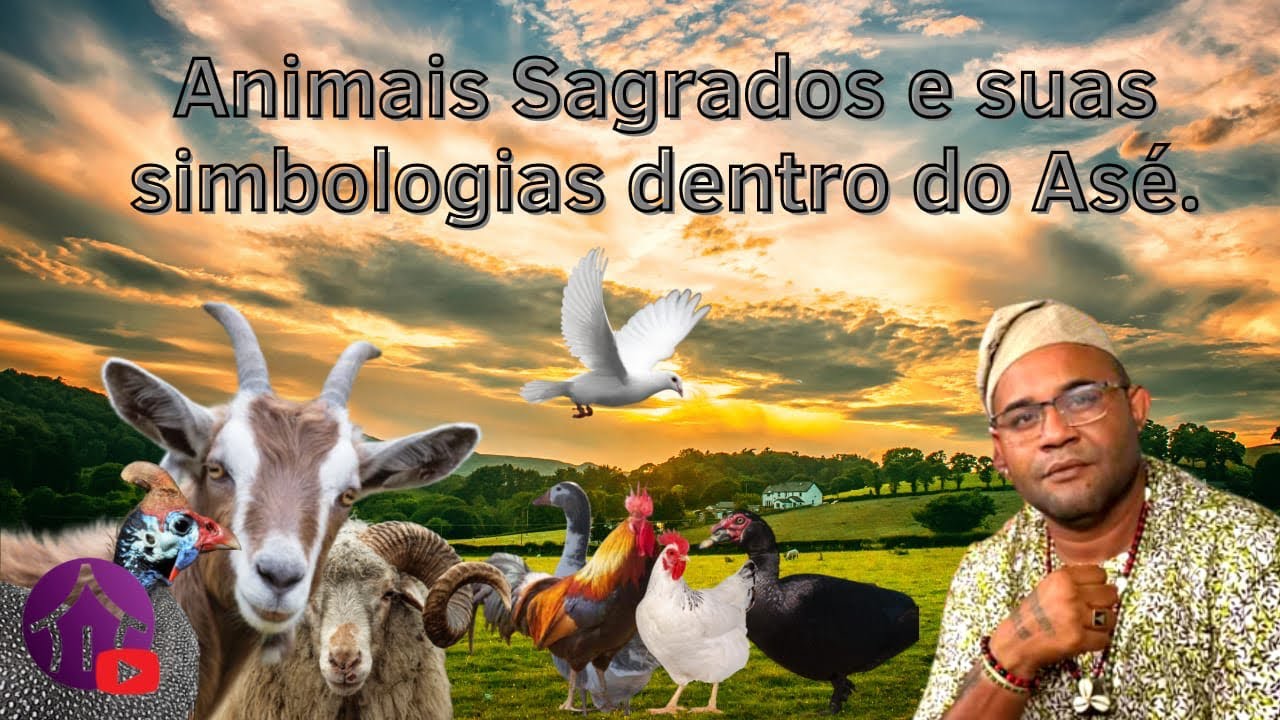 Animais Sagrados e suas Simbologias ! Vídeo chamada!