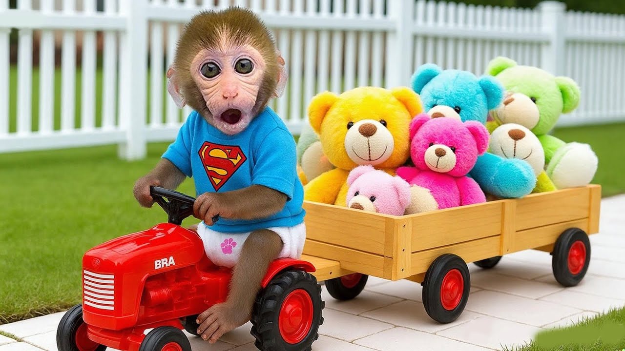 小猴子 Gogo 被彩色小熊嚇到了 🚜🧸😲 | Gogo Monkey Life