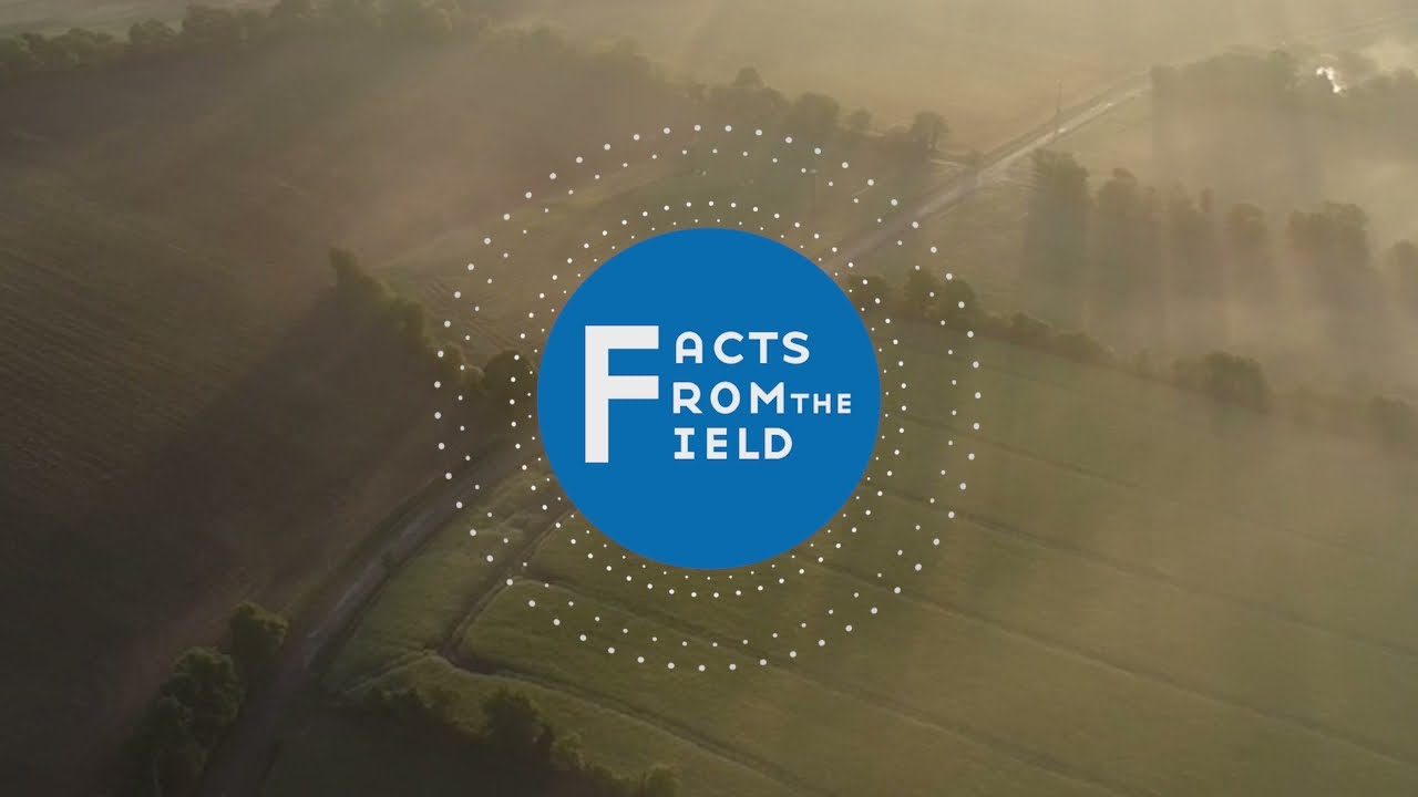 Facts From the Field – Maxifruit on Raspberries