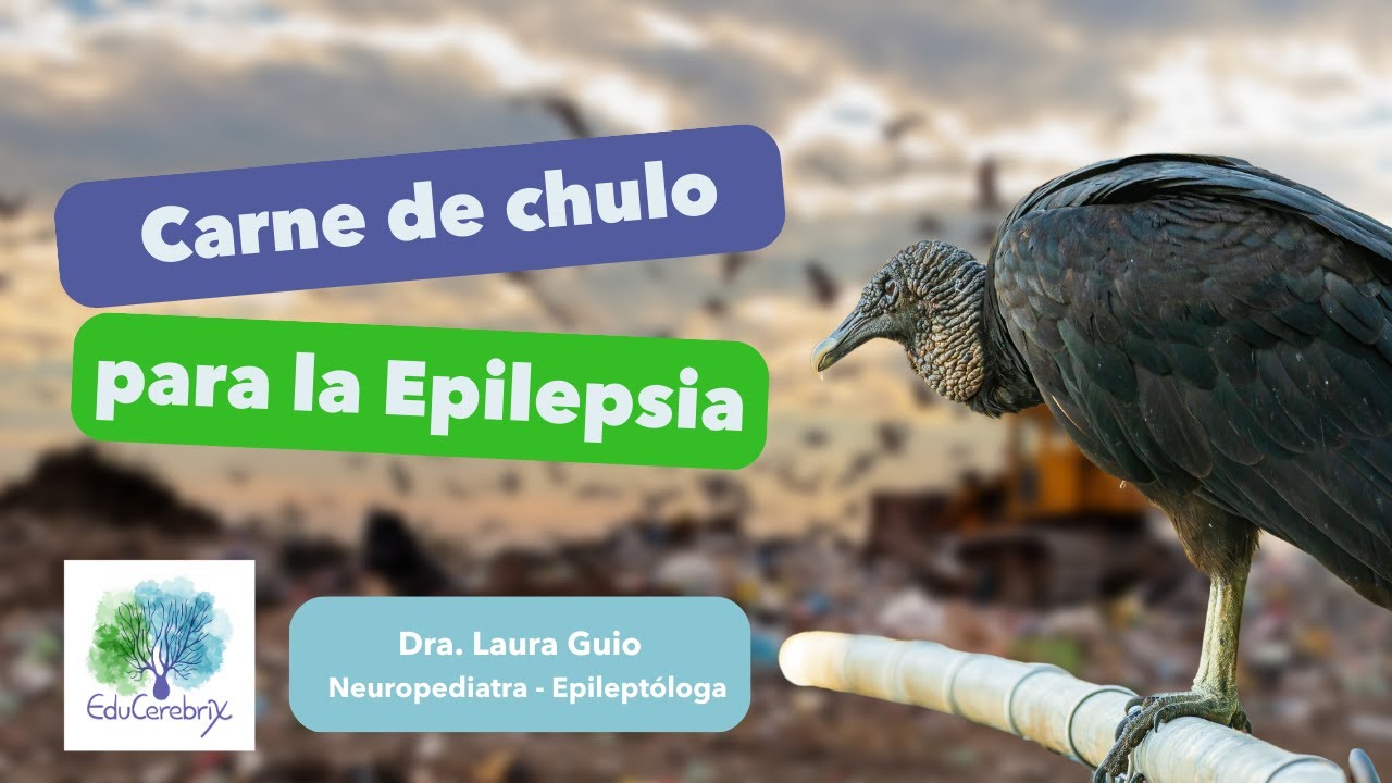 De la carne de chulo y otros mitos sobre epilepsia