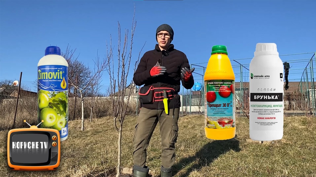 Не оброблюйте цим дерева на весні, толку не буде