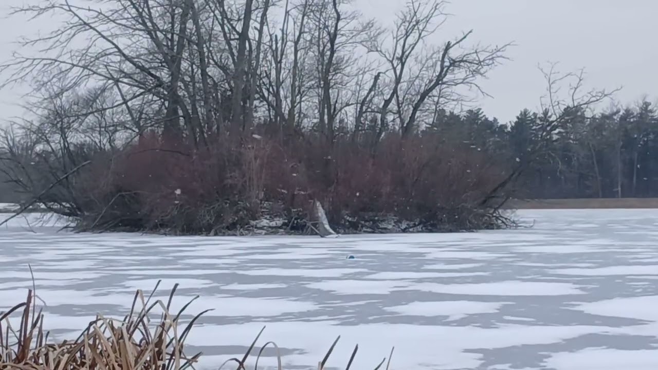 Bitterly Cold Winter Scenery.                 #oldschoolalaska #nature 