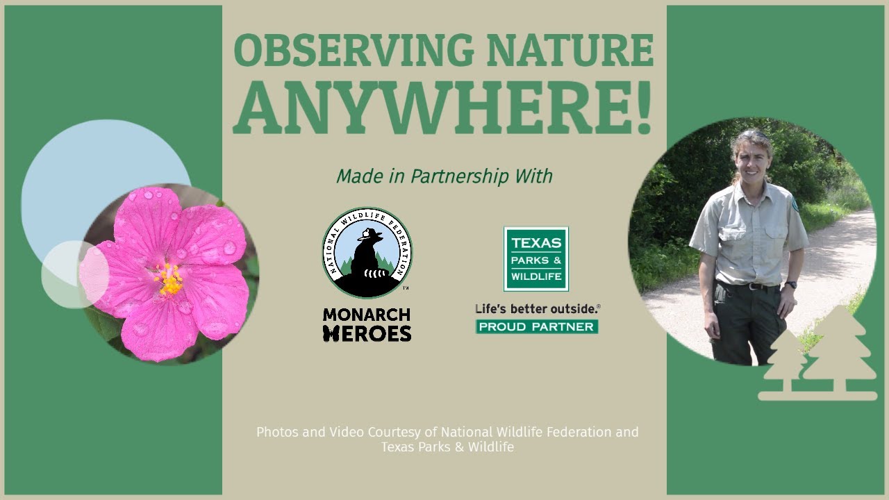 Observing Nature Anywhere with National Wildlife Federation