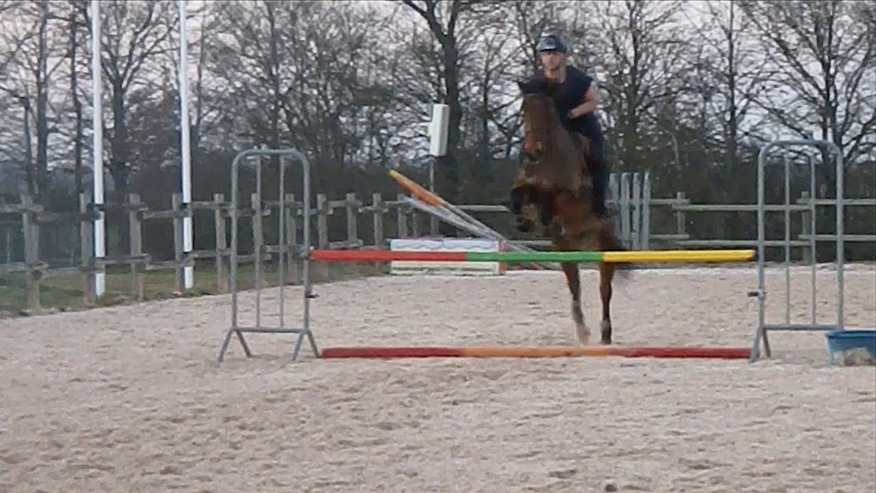 Jeudi 21 février - Cours galop 5/6