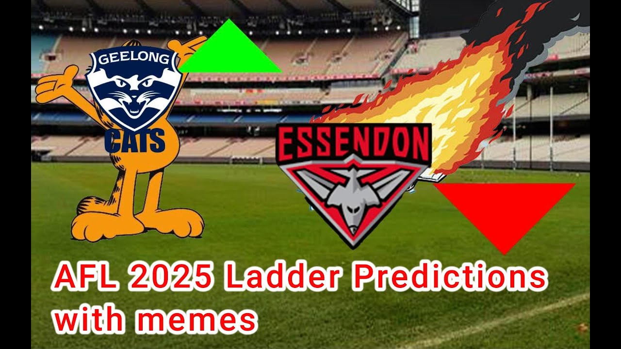 OFFICIAL 2025 AFL LADDER PREDICTIONS! | With Memes