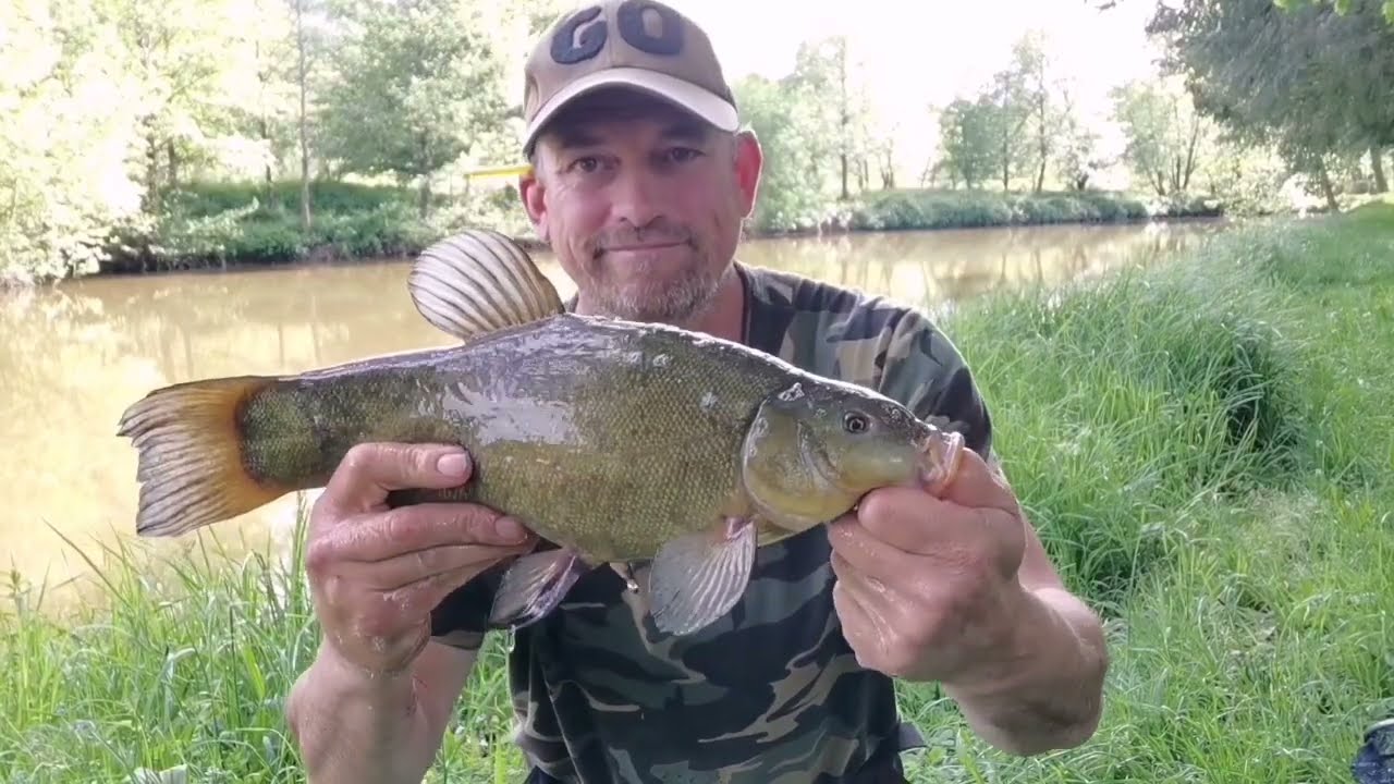 Pêche au coup dans les étangs de l'Amicale des Pêcheurs d'Urmatt.