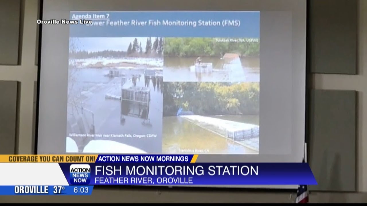 New fish monitoring station to be installed on the Feather River this spring