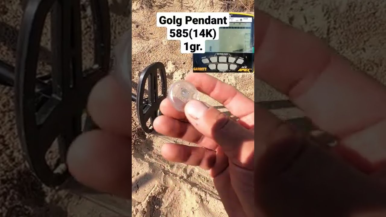 Garrett ACE Apex & Gold Pendant.