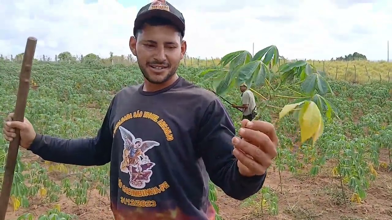 Limpando a macacheira e convite para almoço nosso amigo  Jeová  Cavalcante 