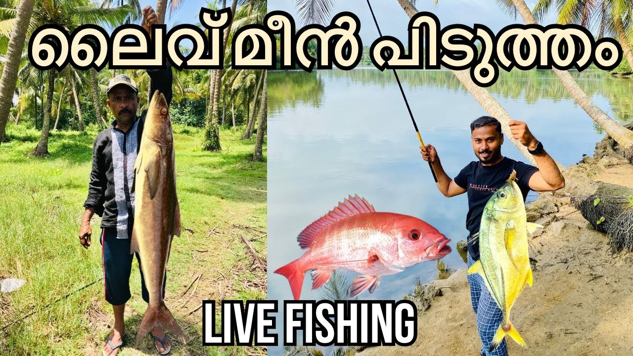 ലൈവ് മീൻ പിടുത്തം | live fishing 🎣 | തീരൂർ വെട്ടംചീർപ്പ്  | Malappuram | Salman Tirur