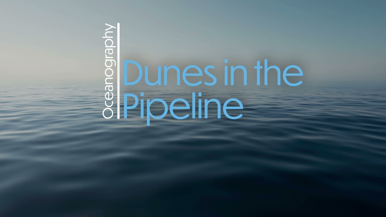 Dunes in the Pipeline beach replenishment, blending riffs with the fight to restore vanishing shores