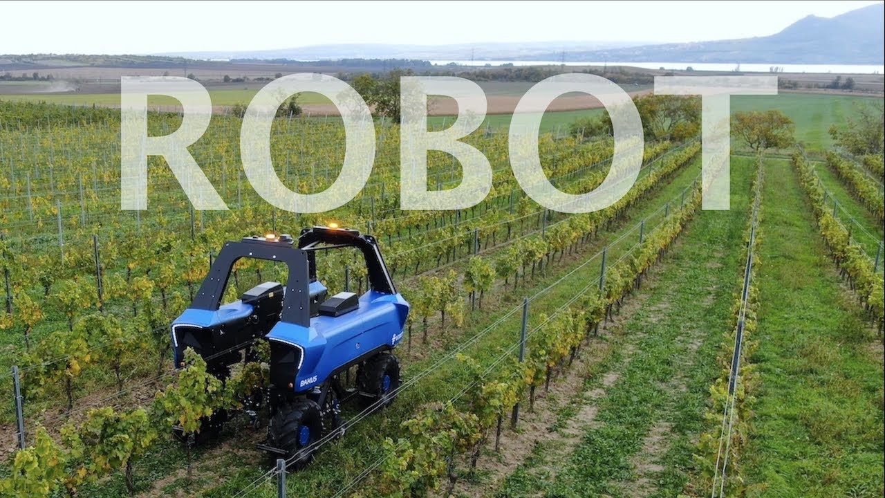 Robot VITIBOT BAKUS L | Autonomn&iacute; a elektrick&yacute; robot do vinice | Full autonomous and electric robot