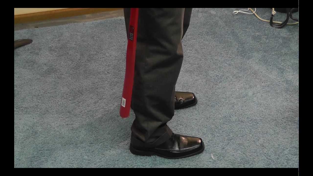 Long Handle Plastic Shoe Horn