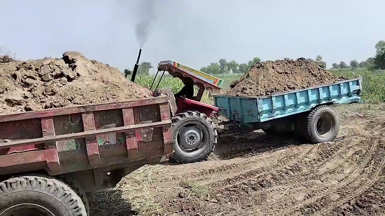 Very Dangerous Tractor stant Massey Ferguson with maad lode trolley 