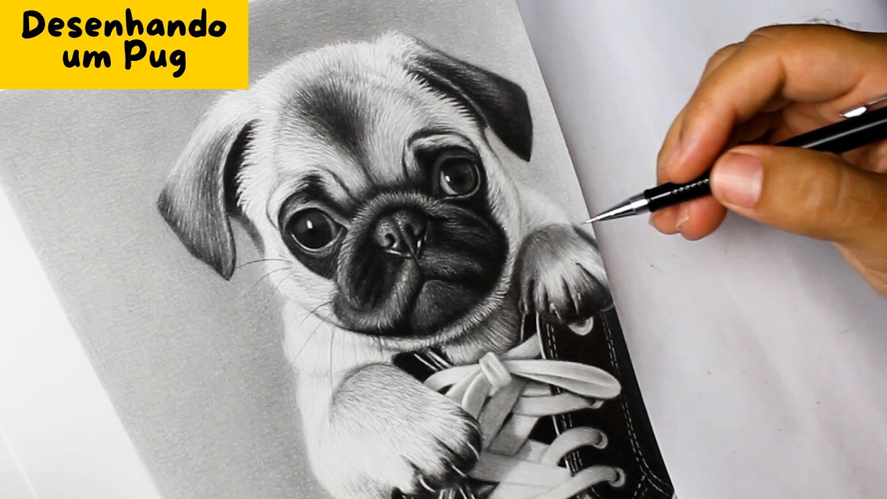 Desenhando um cachorrinho Pug com lápis grafite
