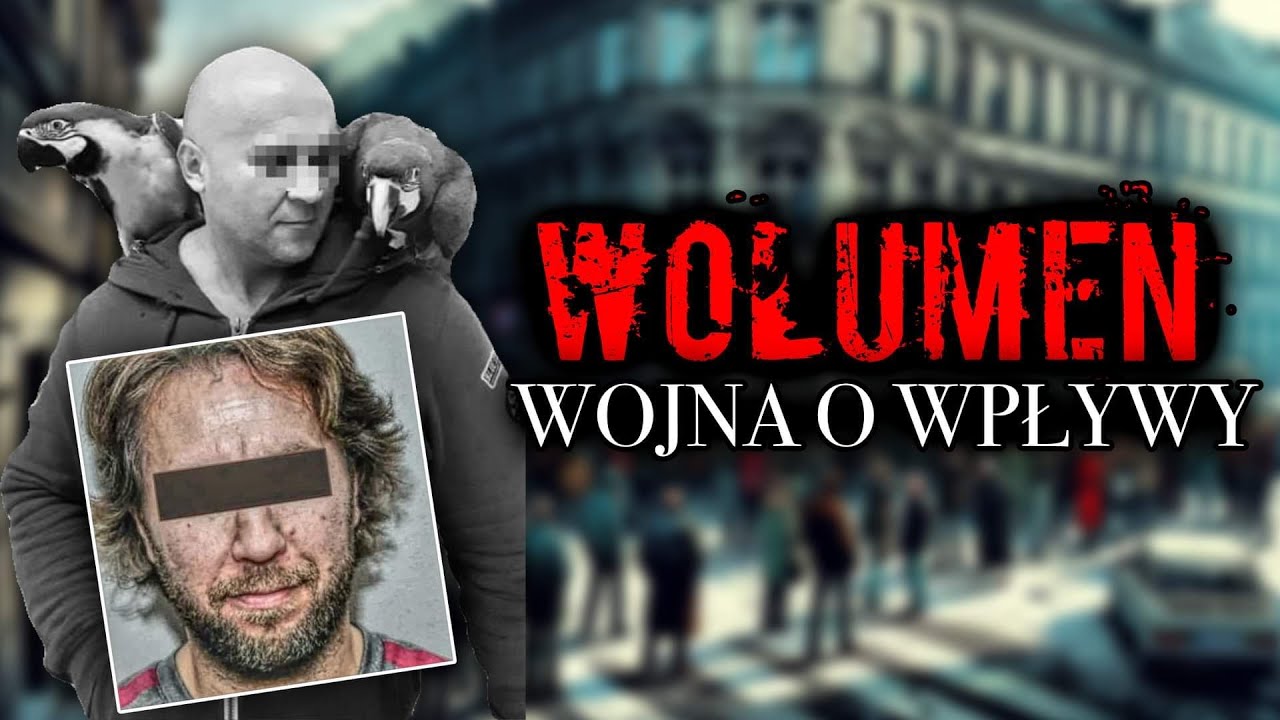 WOLUMEN | MAFIJNA  ŻYŁA ZŁOTA | GRUPA ŻOLIBORSKA | SZYMON Z ŁOMIANEK | SZKATUŁA