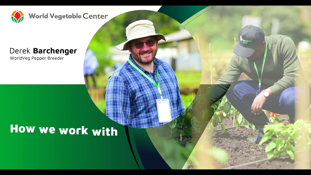 WorldVeg - Pepper breeding programs around the world