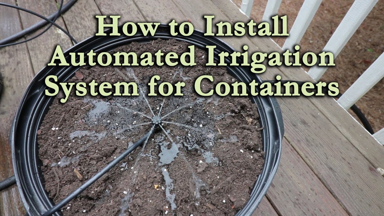 How to Install an Automated Irrigation System for Container Vegetables and Flowers
