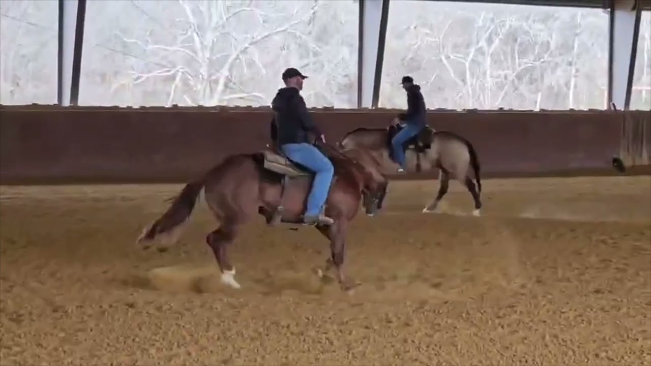 FS COLT PARR JACK new