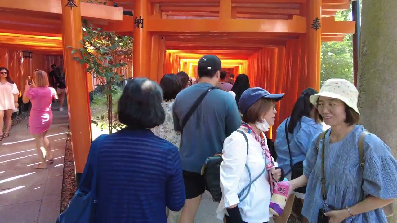 Japan Trip 2024 | Part 47 | Fushimi Inari Taisha and Mt. Inari, Kyoto