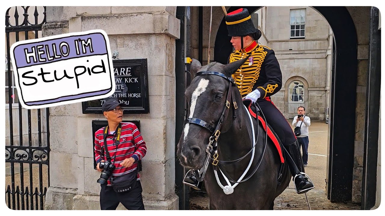 125 Times The Guard Ran Out of PATIENCE and Let Rip at Tourists!