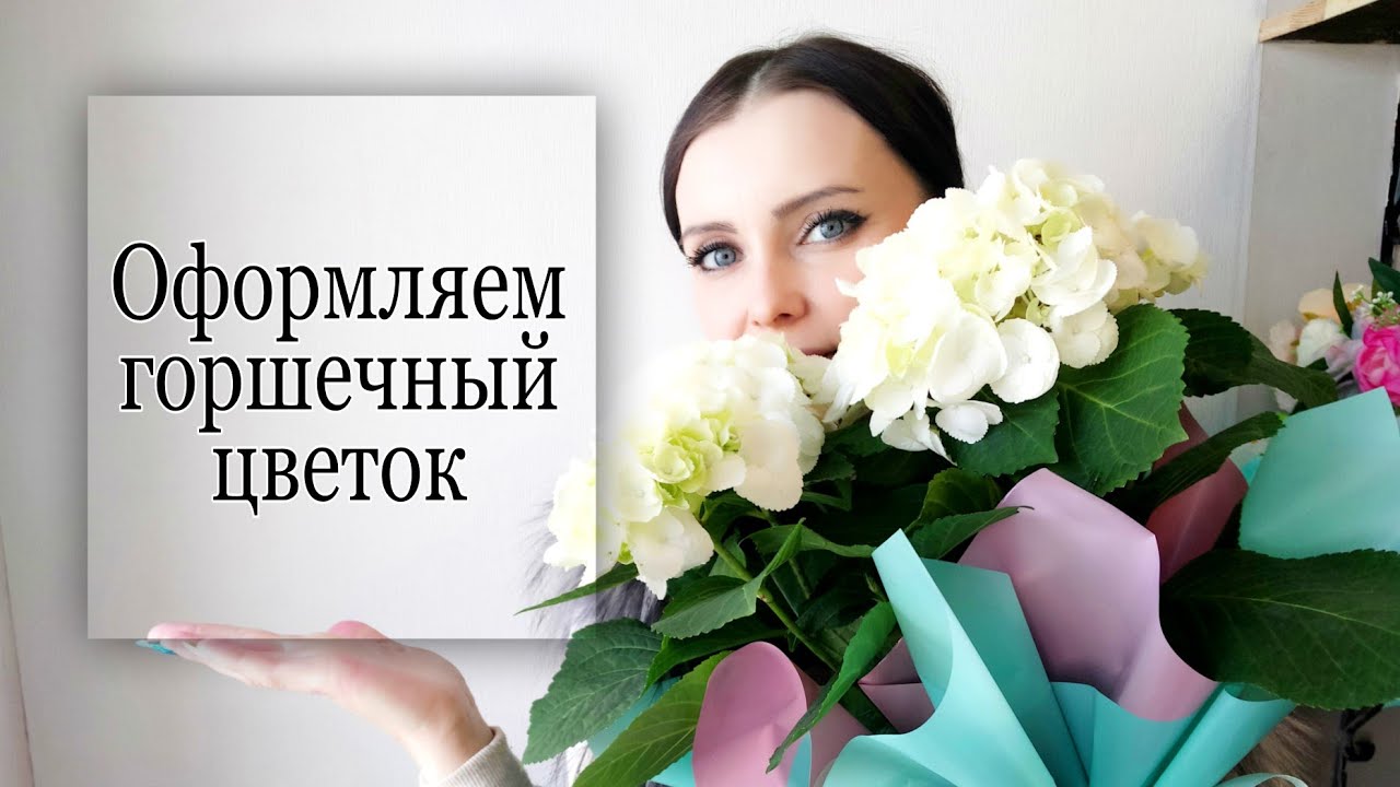 Как красиво упаковать горшечный цветок . 3 способа МК