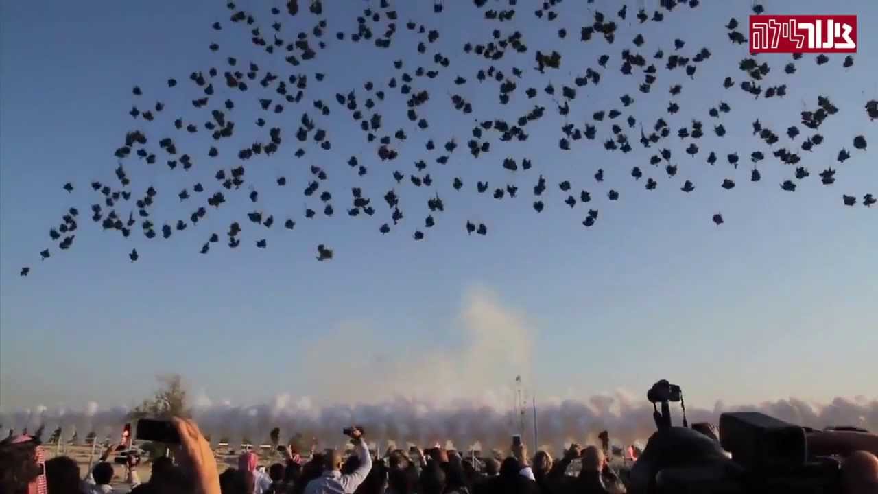 Have you ever seen fireworks in daylight   not what you thought